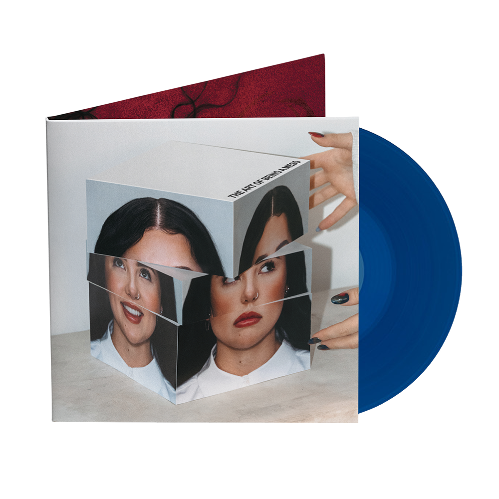 The Art of Being a Mess D2C Color LP