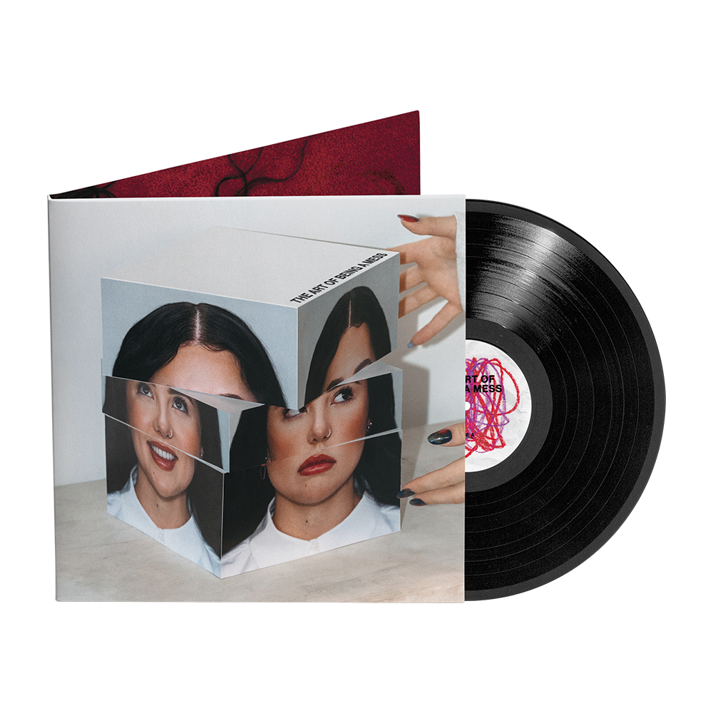 The Art of Being A Mess LP