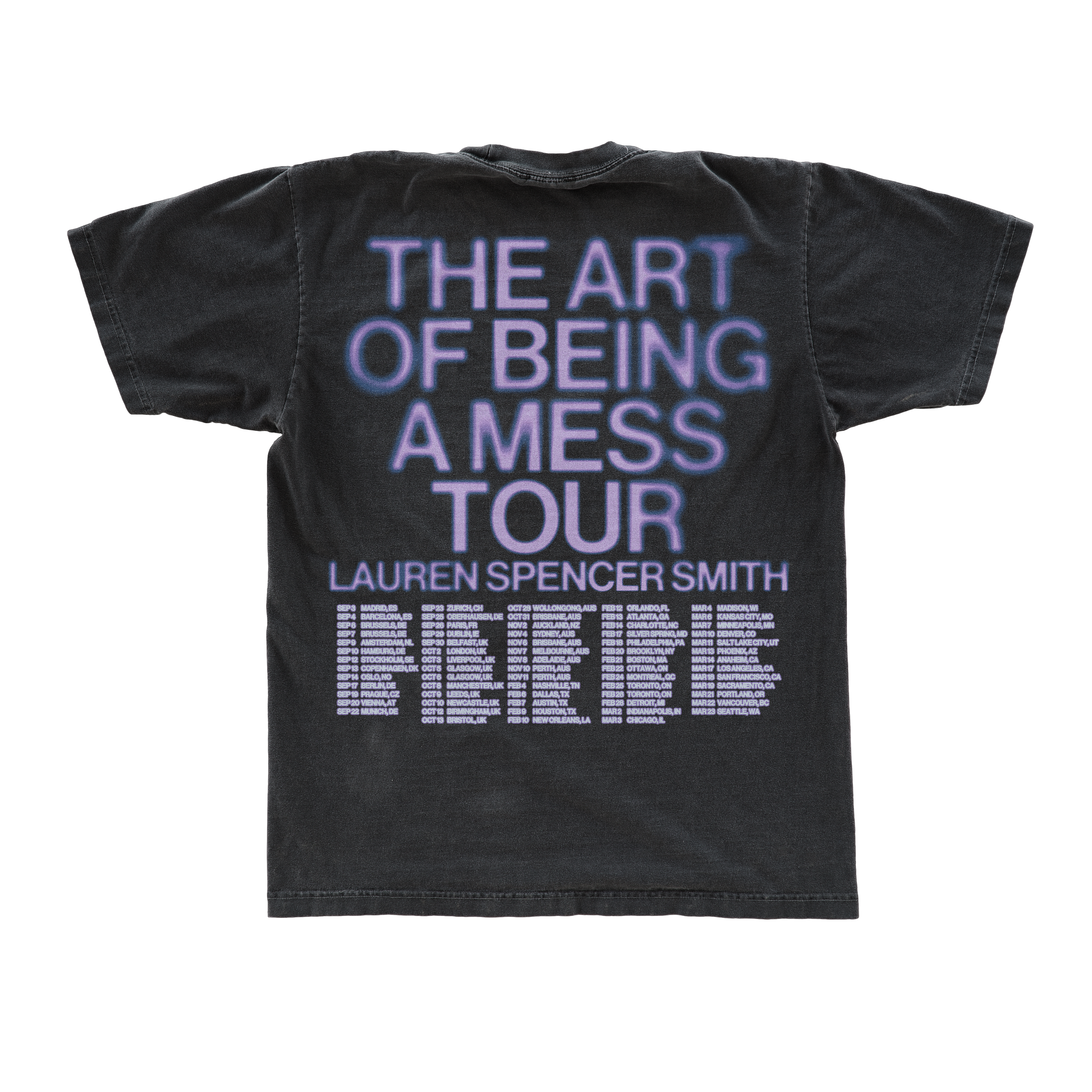 The Art Of Being A Mess Tour Tee Back